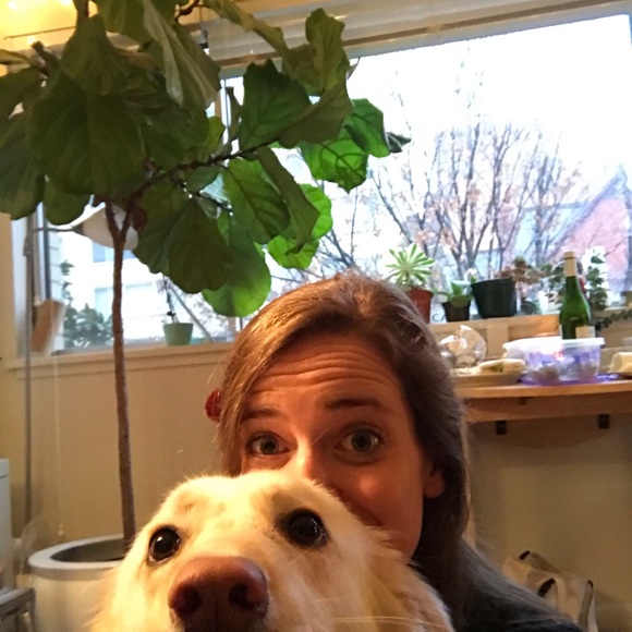 Meet your Posher, Preston - Picture 1 of 1